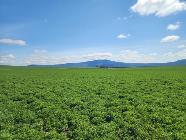 a view of yard with porch and outdoor seating