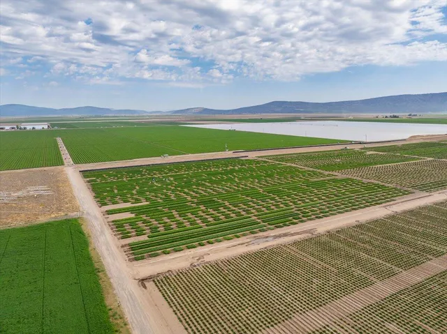 $8,865,000 | 2935 Sheep Mountain Road, Macdoel, CA 96058