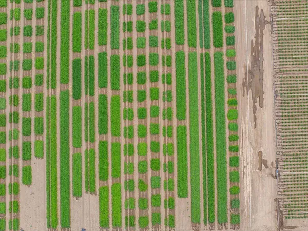 $7,900,000 | 2935 Sheep Mountain Road, Macdoel, CA 96058