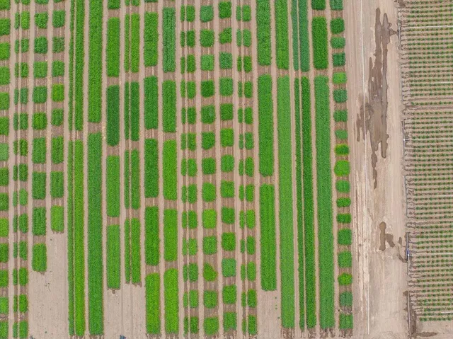 $8,865,000 | 2935 Sheep Mountain Road, Macdoel, CA 96058