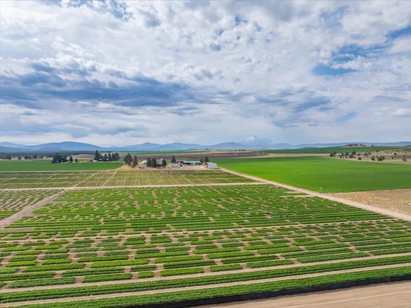 $7,900,000 | 2935 Sheep Mountain Road, Macdoel, CA 96058