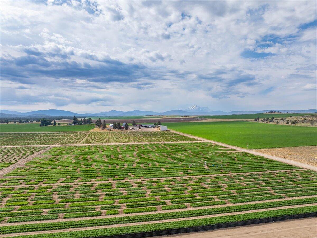 2935 Sheep Mountain Road Macdoel, CA 96058 - Photo 54 of 137 013-Macdoel Hay Ranch - E-13