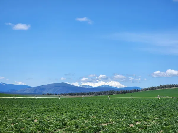 $7,900,000 | 2935 Sheep Mountain Road, Macdoel, CA 96058