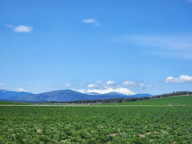 a front view of house with large windows