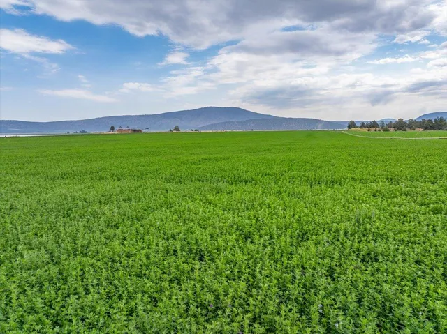 $8,865,000 | 2935 Sheep Mountain Road, Macdoel, CA 96058