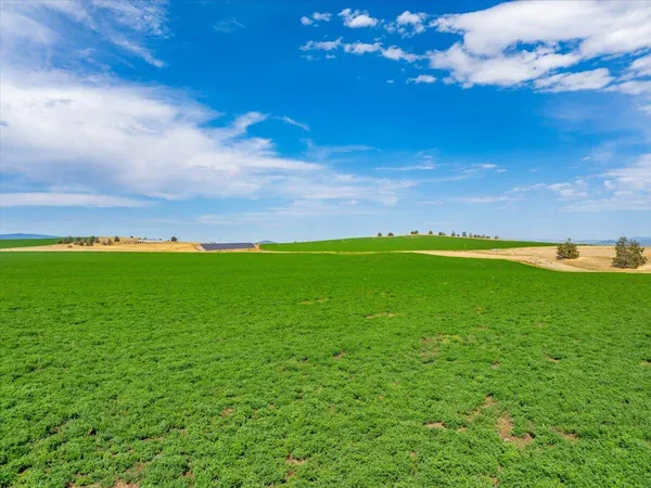 $7,900,000 | 2935 Sheep Mountain Road, Macdoel, CA 96058