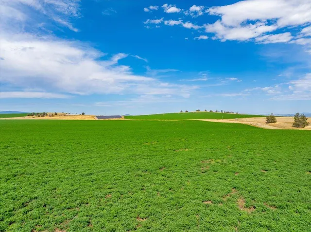 $8,865,000 | 2935 Sheep Mountain Road, Macdoel, CA 96058