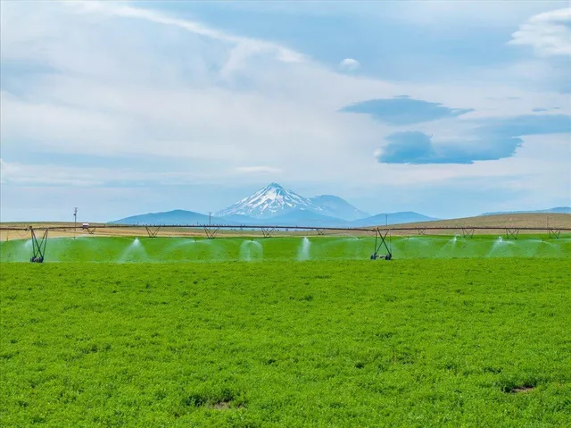 $8,865,000 | 2935 Sheep Mountain Road, Macdoel, CA 96058