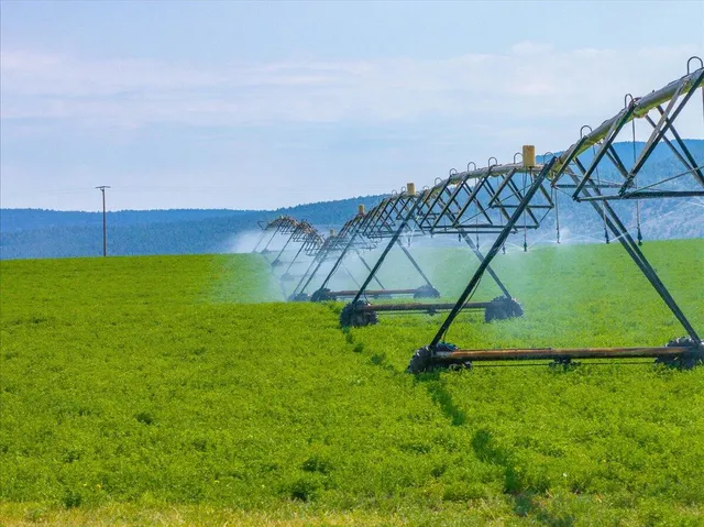 $8,865,000 | 2935 Sheep Mountain Road, Macdoel, CA 96058