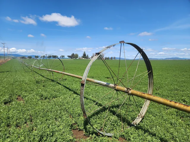 a view of a house with a yard and tree