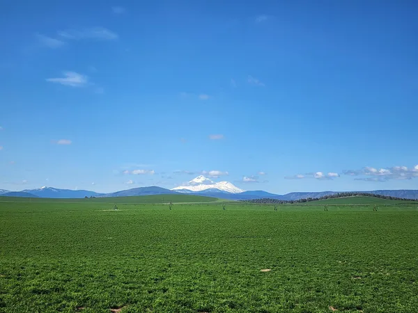 $7,900,000 | 2935 Sheep Mountain Road, Macdoel, CA 96058