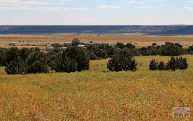 6041 South Waterbarrel Road Beulah, CO 81023 - Photo 1 of 1