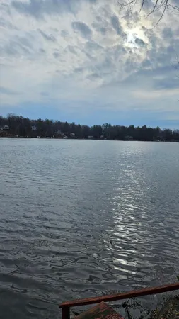 $320,000 | 7731 White Birch Drive, Farwell, MI 48622