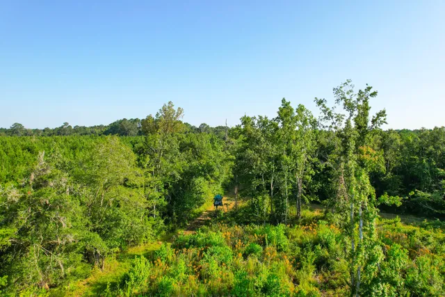 $1,500,000 | 0 Featherbed Road, Round O, SC 29474