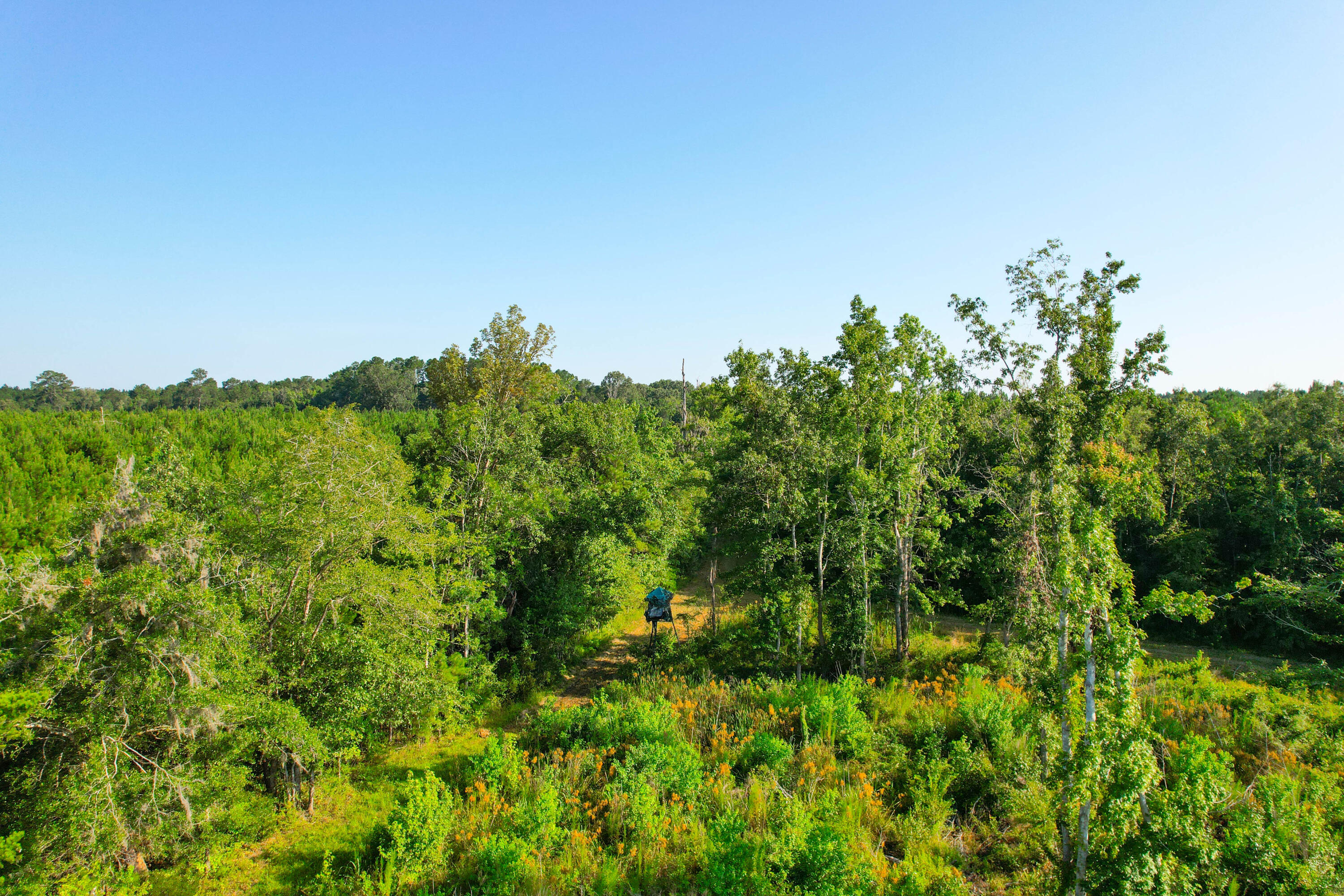 0 Featherbed Road Round O, SC 29474 - Photo 11 of 45 Headwaters -Tidalcreekphoto- (7)