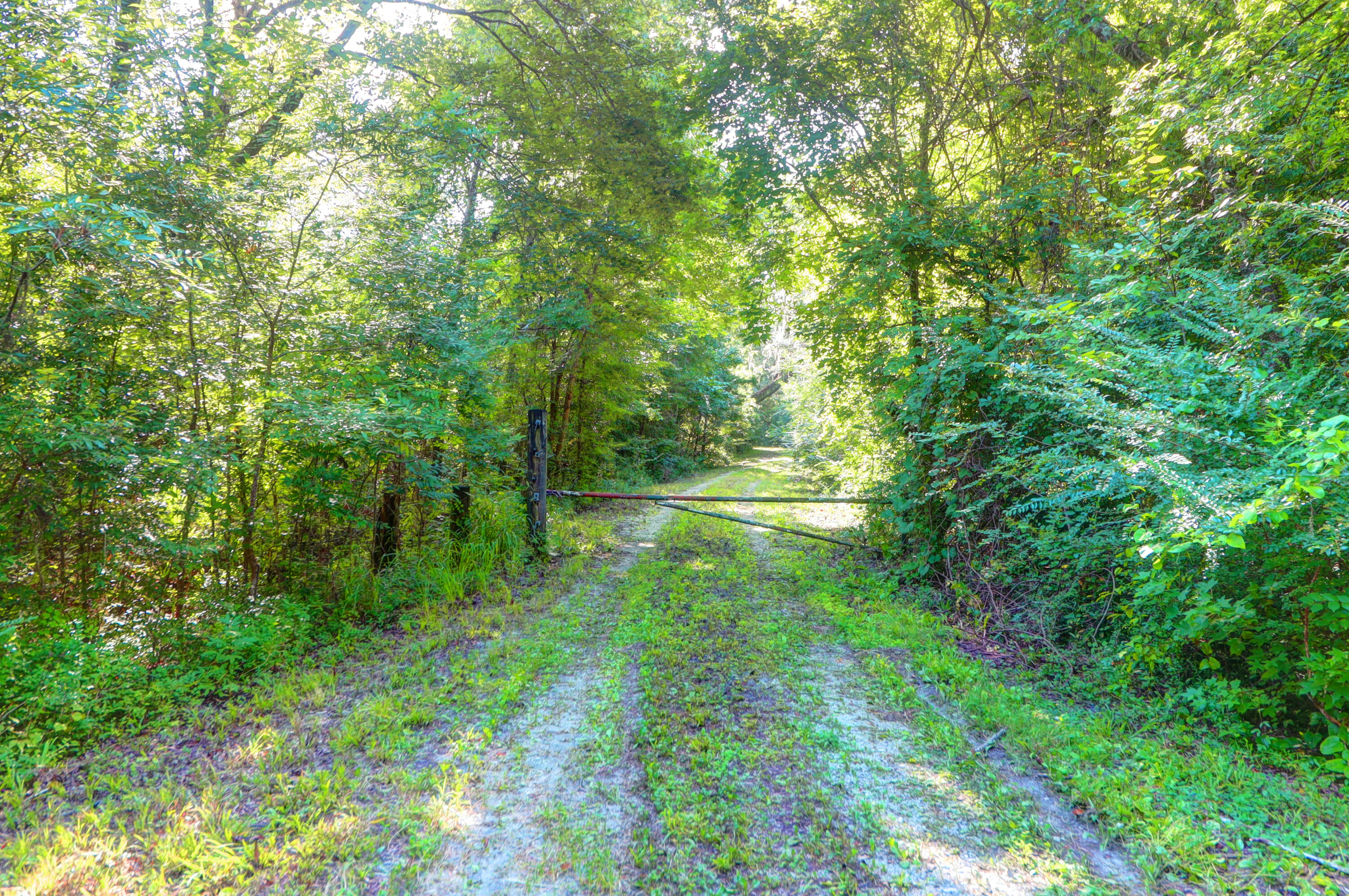 0 Featherbed Road Round O, SC 29474 - Photo 25 of 45 Headwaters -Tidalcreekphoto- (22)
