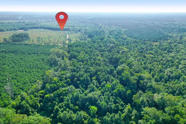 $1,500,000 | 0 Featherbed Road, Round O, SC 29474