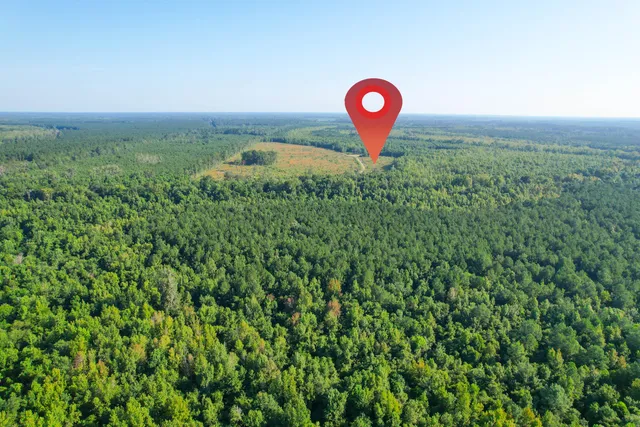 $1,500,000 | 0 Featherbed Road, Round O, SC 29474