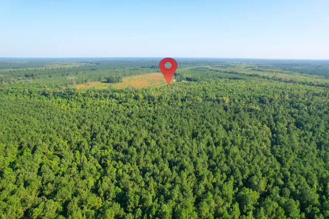 $1,500,000 | 0 Featherbed Road, Round O, SC 29474