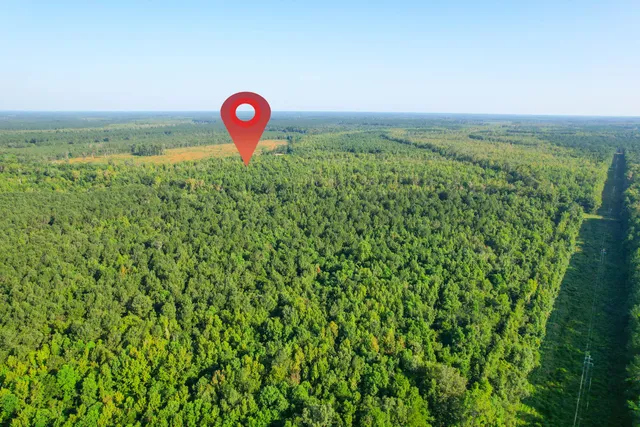 $1,500,000 | 0 Featherbed Road, Round O, SC 29474