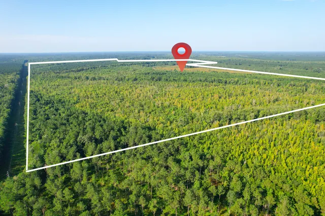 $1,500,000 | 0 Featherbed Road, Round O, SC 29474