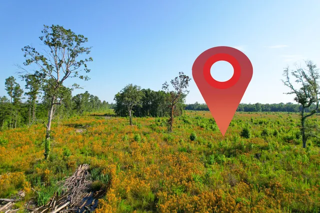 $1,500,000 | 0 Featherbed Road, Round O, SC 29474