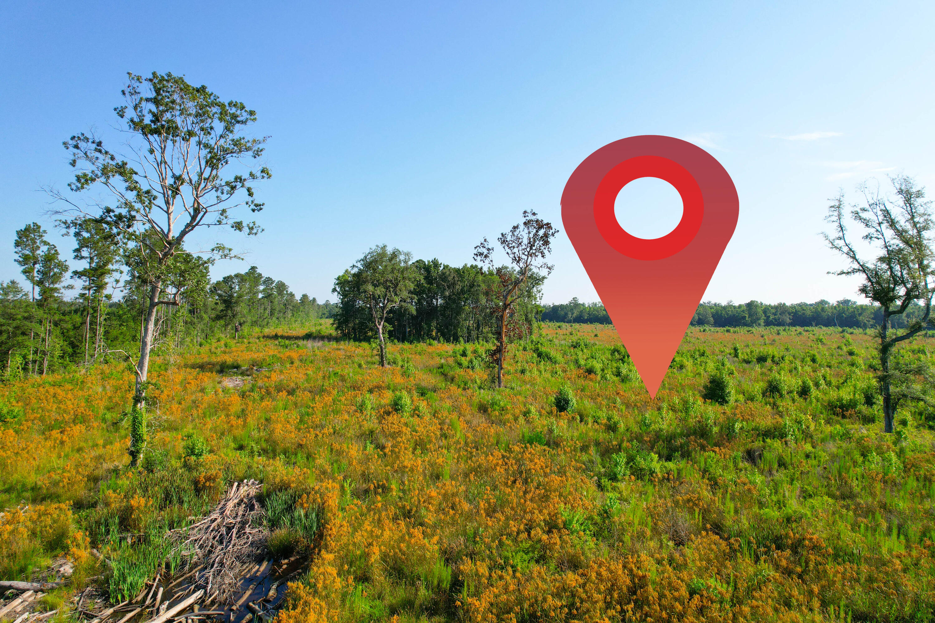 0 Featherbed Road Round O, SC 29474 - Photo 10 of 45 Headwaters -Tidalcreekphoto- (6)