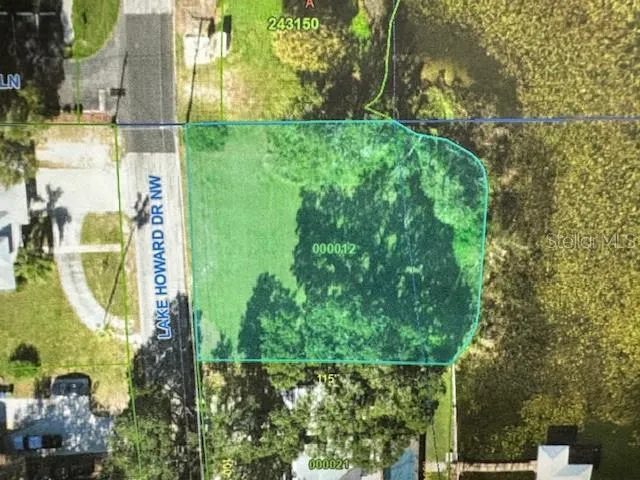 a bird view of a garden