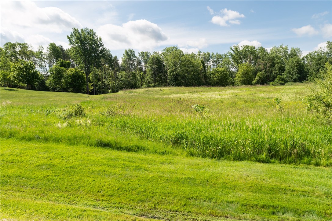 3420 Rose Road Batavia, NY 14020 - Photo 46 of 49
