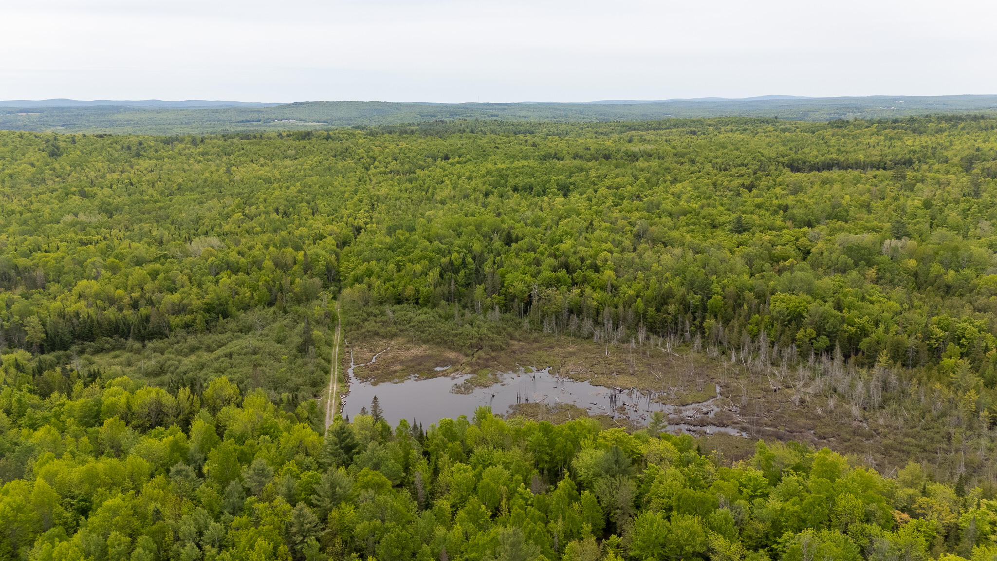 M5-l28 Cemetery Road Guilford, ME 04443 - Photo 49 of 58 DJI_20260602112004_0476_D