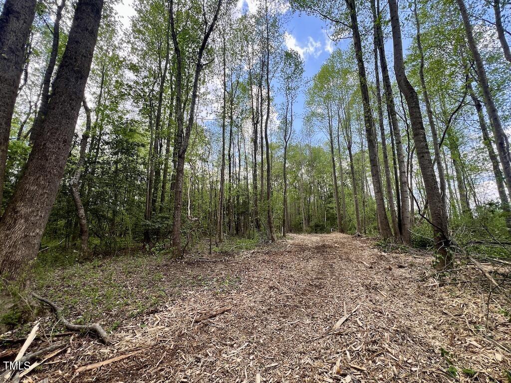 0 Red Road Nashville, NC 27856 - Photo 11 of 45 10