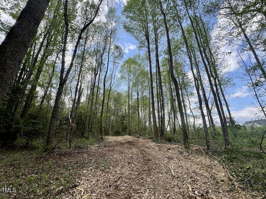 0 Red Road Nashville, NC 27856 - Photo 13 of 45 12