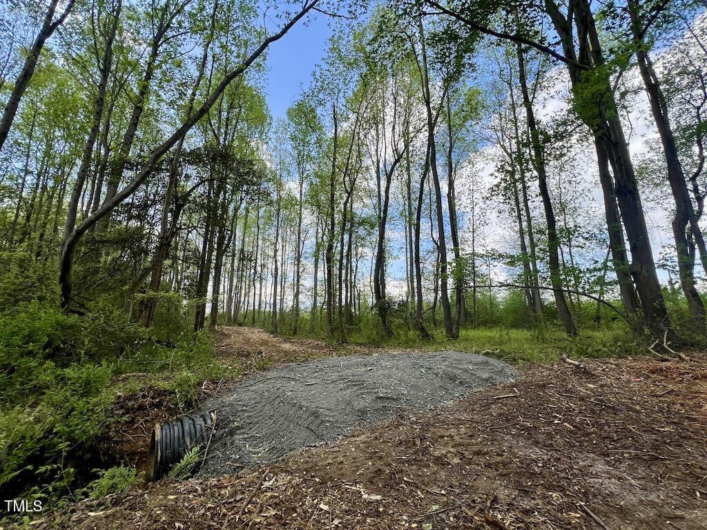 0 Red Road Nashville, NC 27856 - Photo 15 of 45 14