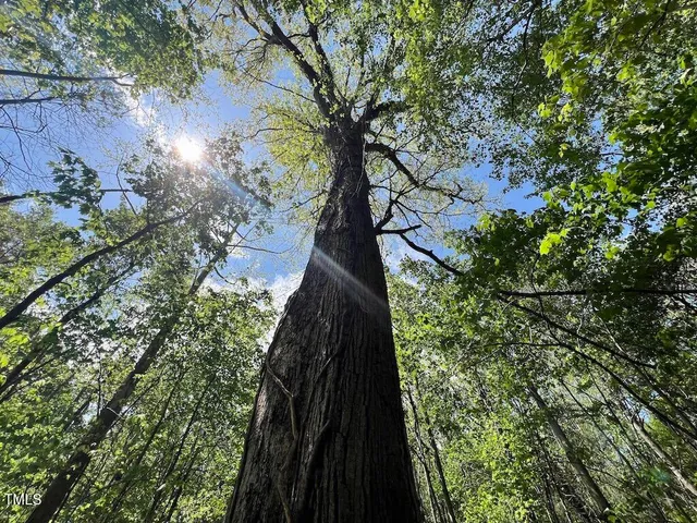 $269,500 | 0 Red Road, Nashville, NC 27856