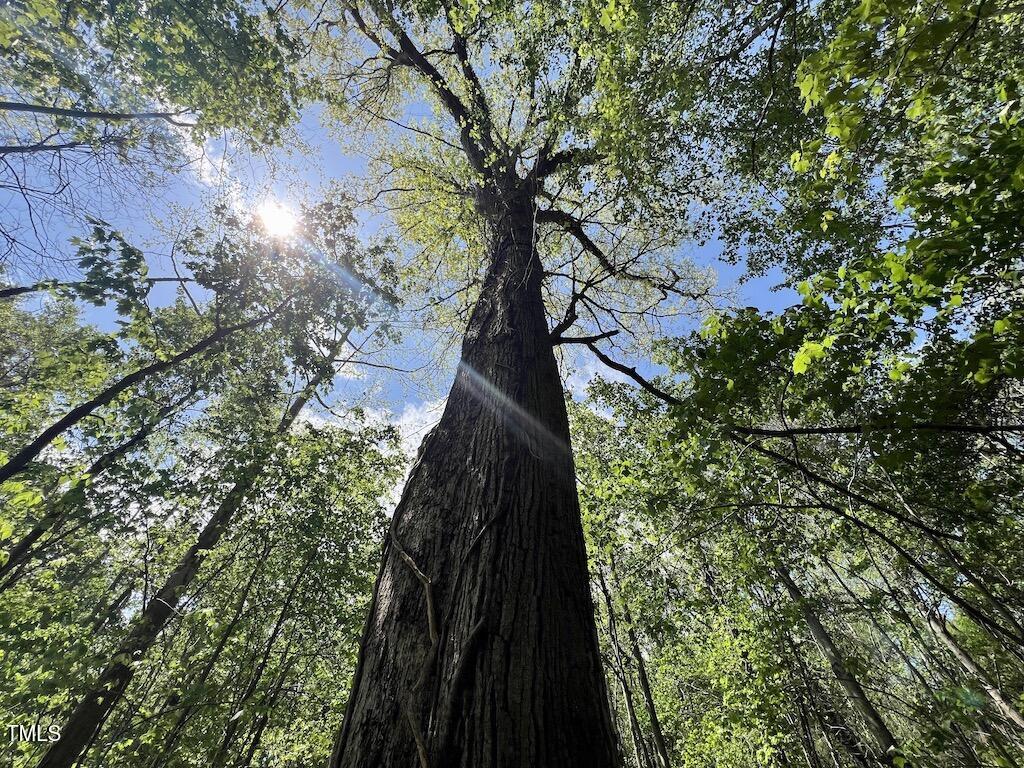 0 Red Road Nashville, NC 27856 - Photo 16 of 45 15