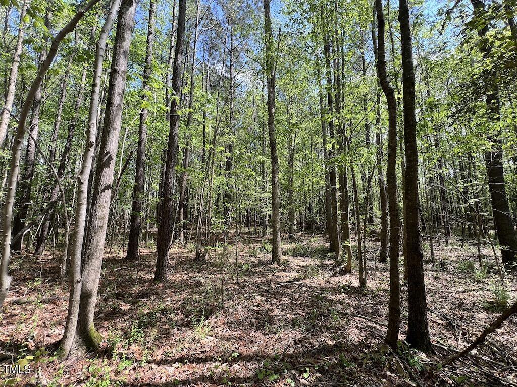 0 Red Road Nashville, NC 27856 - Photo 17 of 45 16