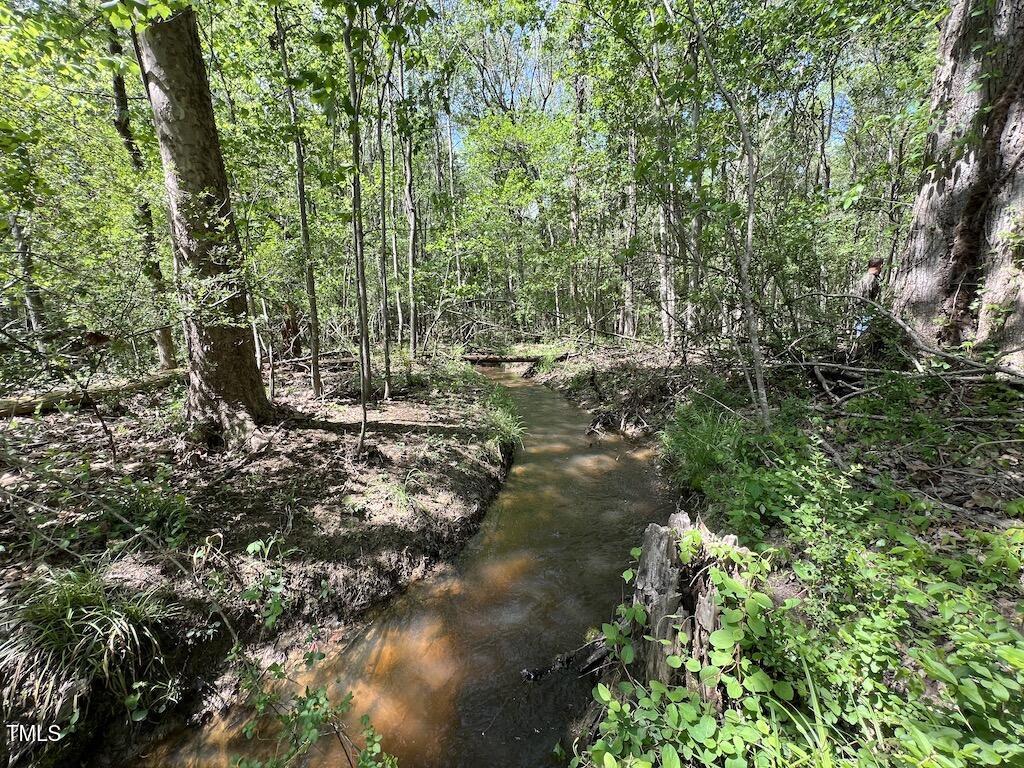 0 Red Road Nashville, NC 27856 - Photo 19 of 45 18