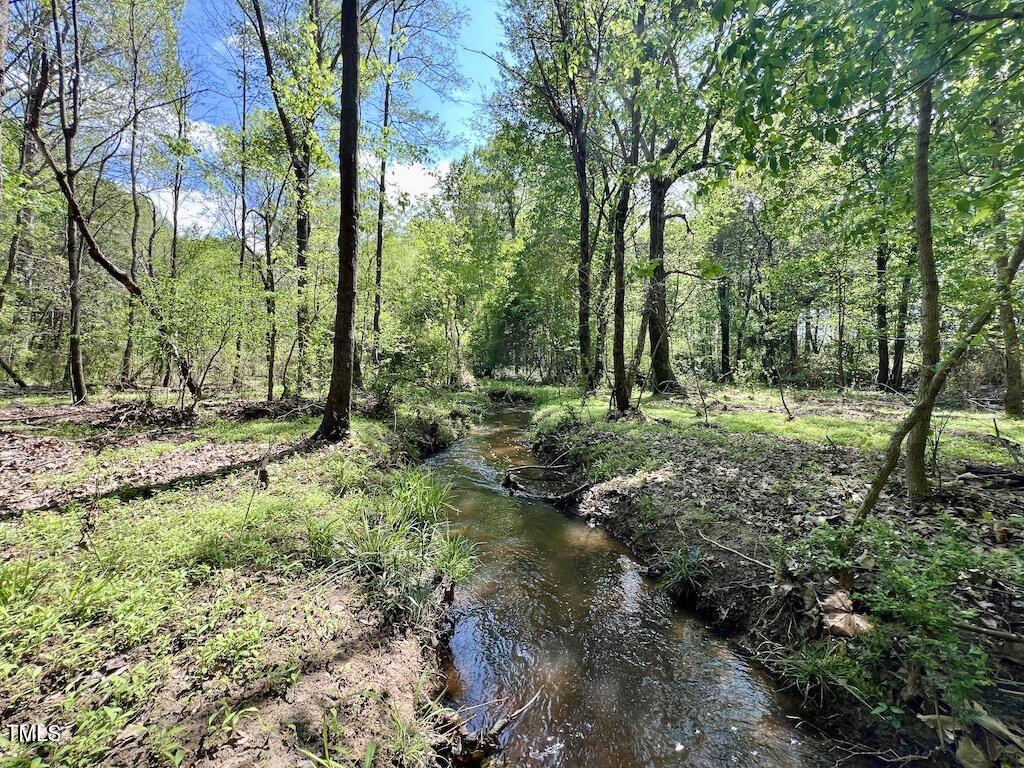 0 Red Road Nashville, NC 27856 - Photo 20 of 45 19