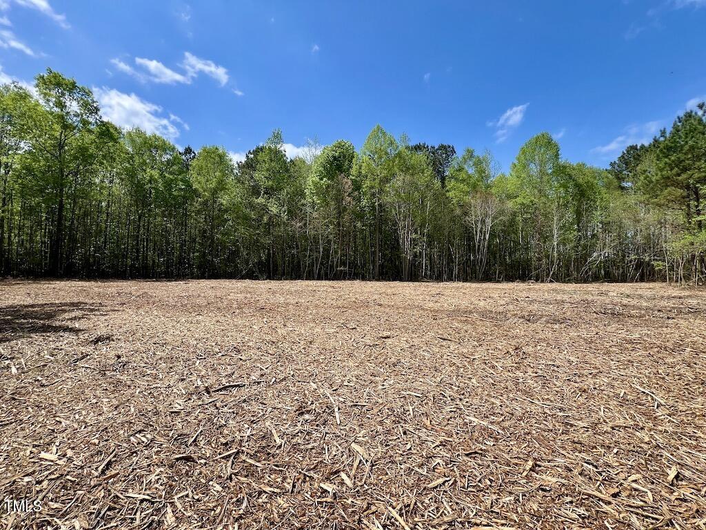 0 Red Road Nashville, NC 27856 - Photo 2 of 45 1