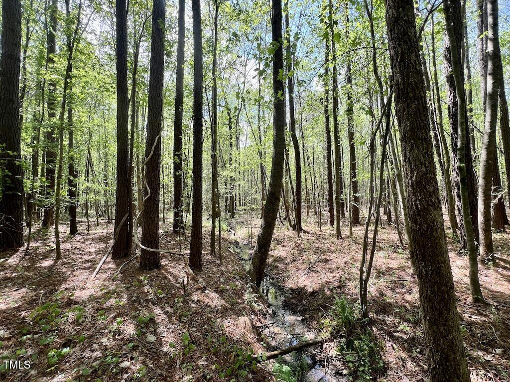 0 Red Road Nashville, NC 27856 - Photo 21 of 45 20