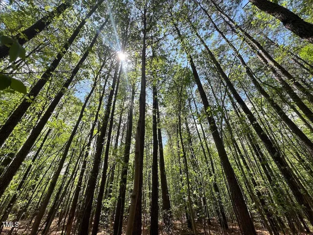 $269,500 | 0 Red Road, Nashville, NC 27856