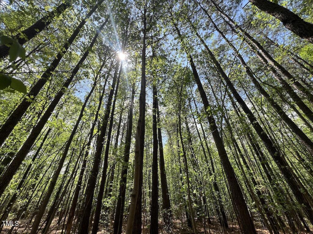 0 Red Road Nashville, NC 27856 - Photo 22 of 45 21