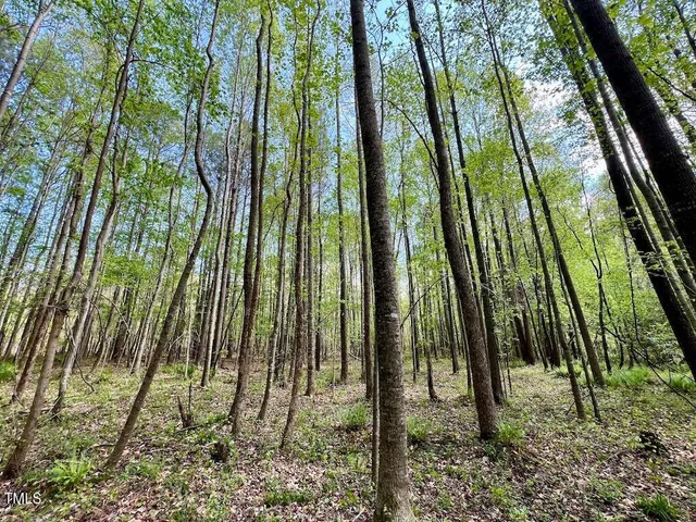 $269,500 | 0 Red Road, Nashville, NC 27856