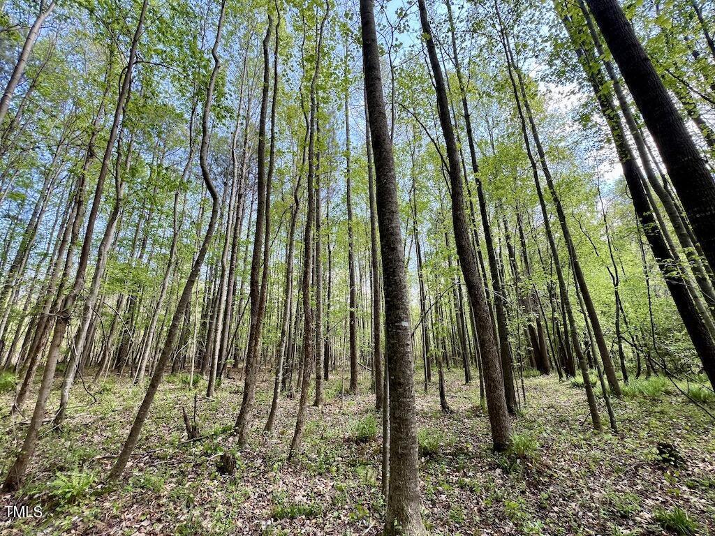 0 Red Road Nashville, NC 27856 - Photo 23 of 45 22