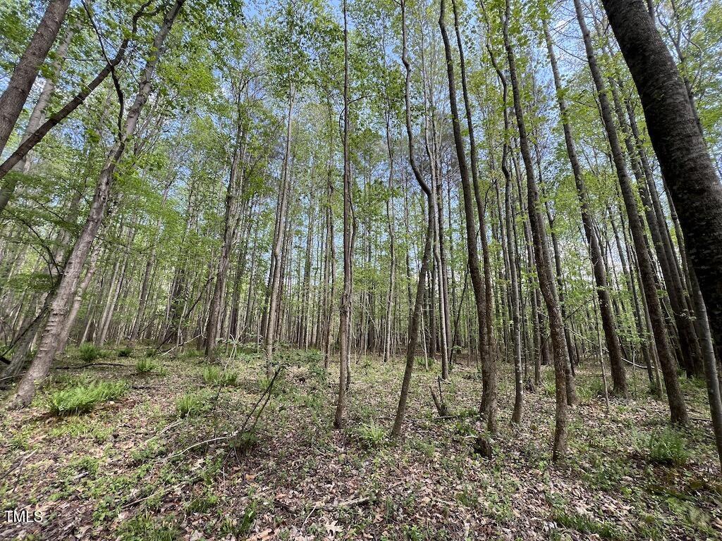 0 Red Road Nashville, NC 27856 - Photo 24 of 45 24