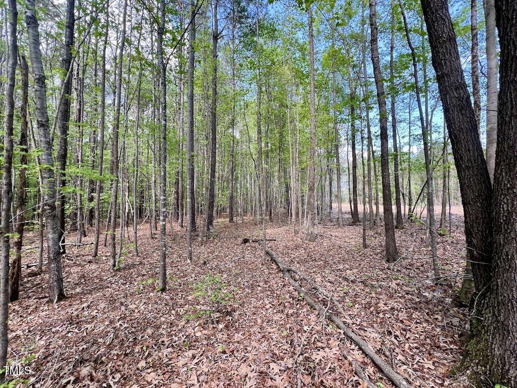 0 Red Road Nashville, NC 27856 - Photo 25 of 45 25