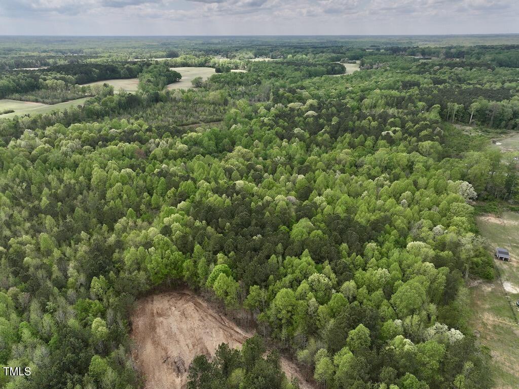 0 Red Road Nashville, NC 27856 - Photo 28 of 45 28