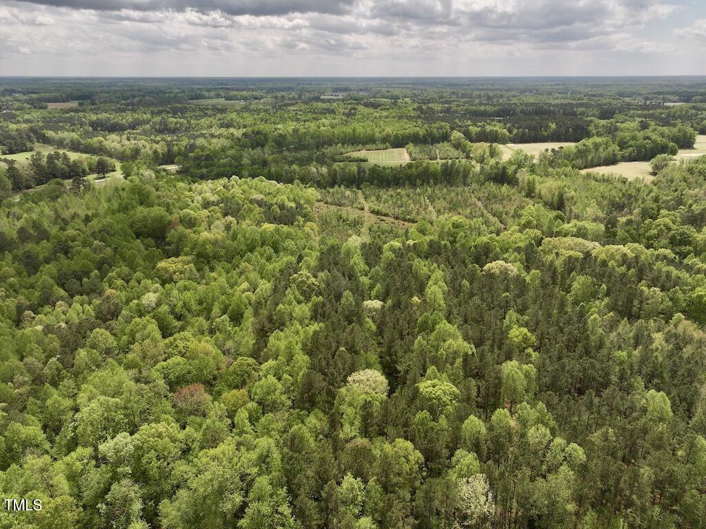 0 Red Road Nashville, NC 27856 - Photo 31 of 45 31