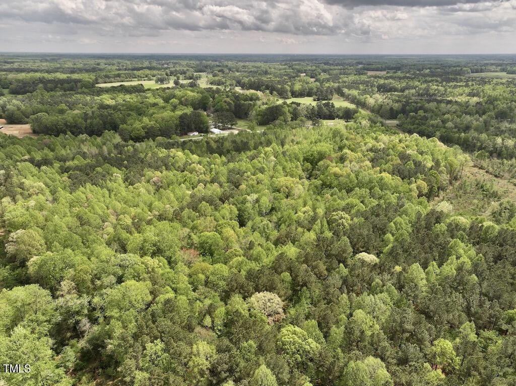 0 Red Road Nashville, NC 27856 - Photo 33 of 45 33