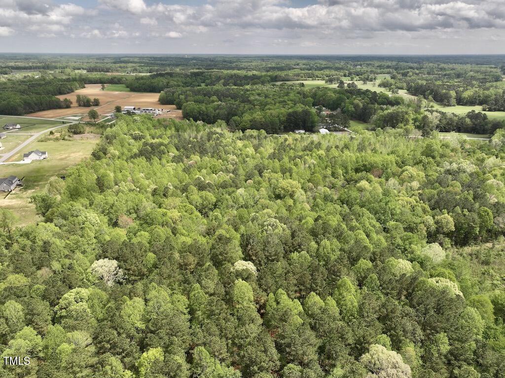 0 Red Road Nashville, NC 27856 - Photo 35 of 45 35